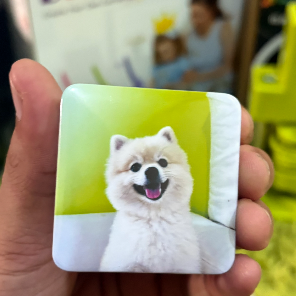 9 Photo Magnets